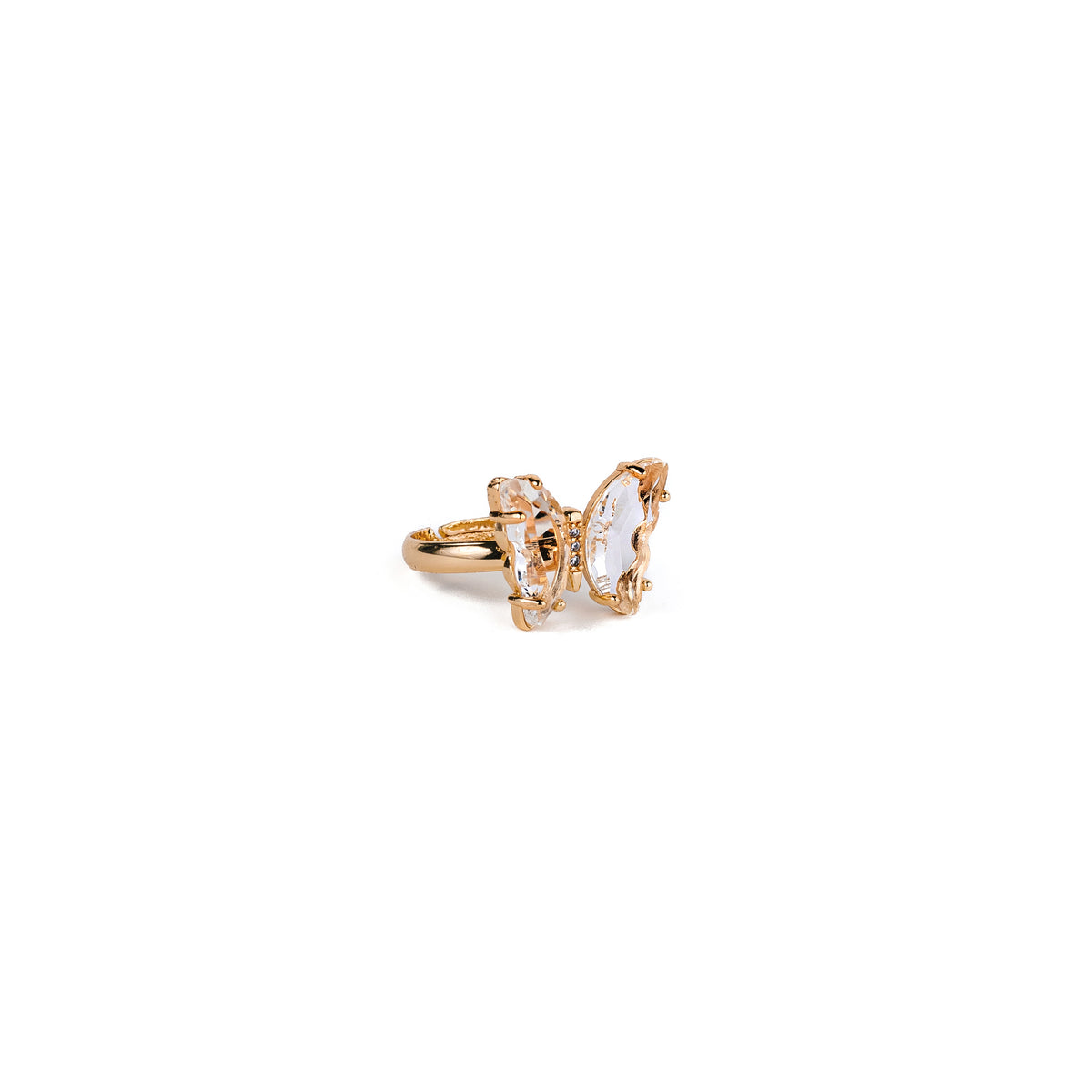 RING BUTTERFLIES